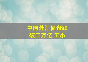 中国外汇储备跌破三万亿 王小